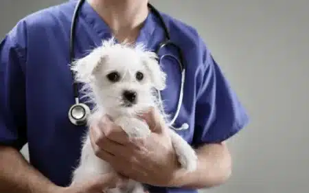 emergency care thumbnail