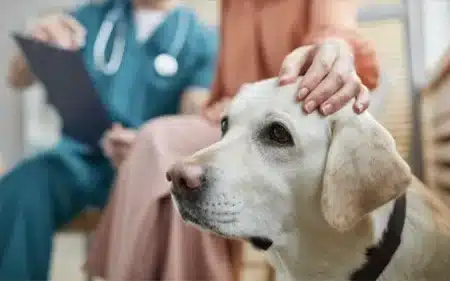 physiotherapy thumbnail